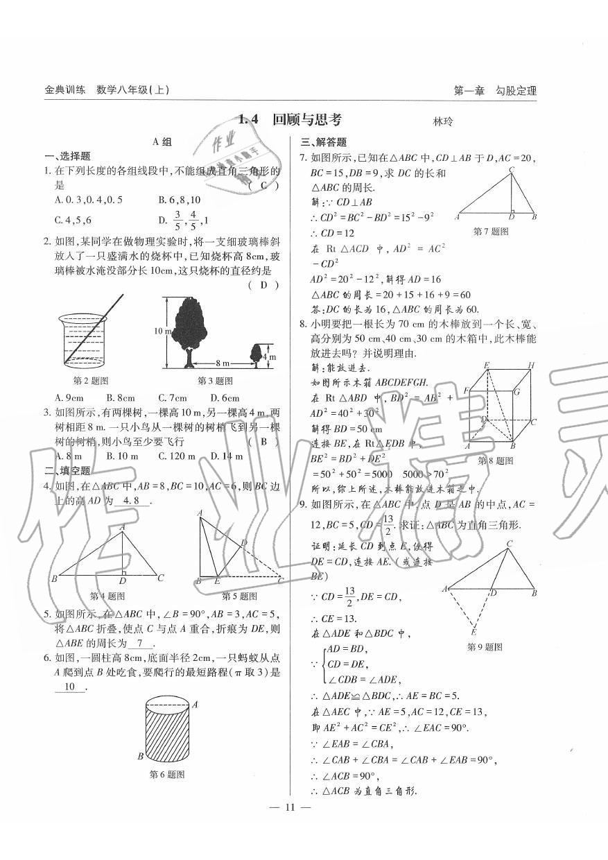 2019年金典訓(xùn)練八年級數(shù)學(xué)上冊北師大版 第11頁