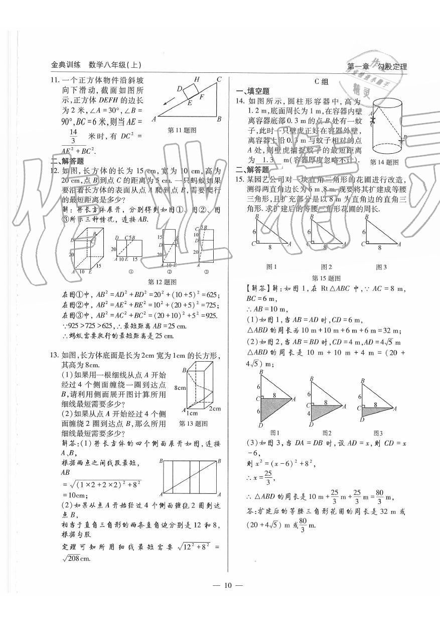 2019年金典訓(xùn)練八年級(jí)數(shù)學(xué)上冊(cè)北師大版 第10頁(yè)