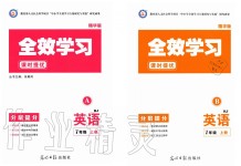 2019年全效學(xué)習(xí)精華版七年級英語上冊人教版