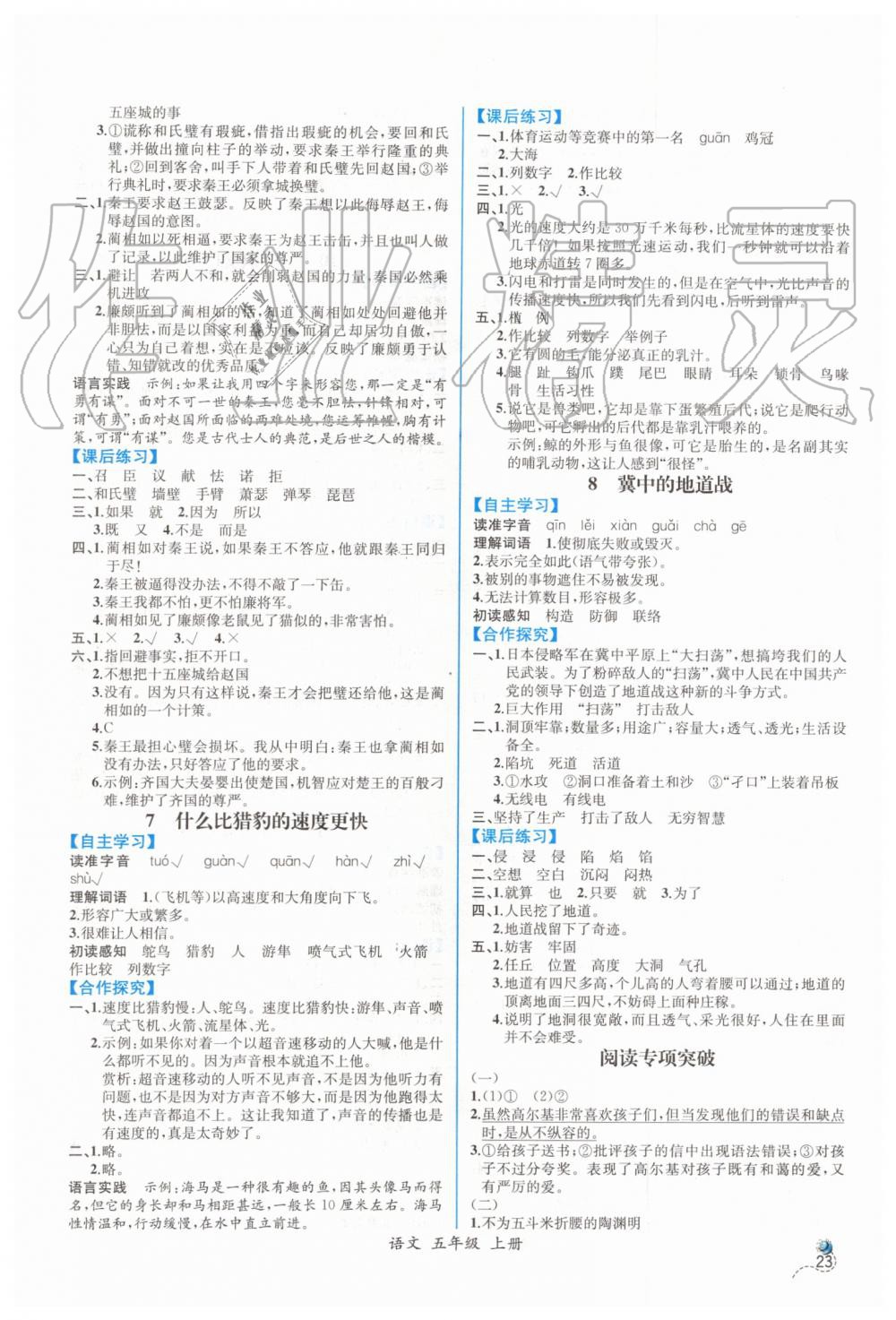 2019年同步導(dǎo)學(xué)案課時練五年級語文上冊人教版 參考答案第3頁