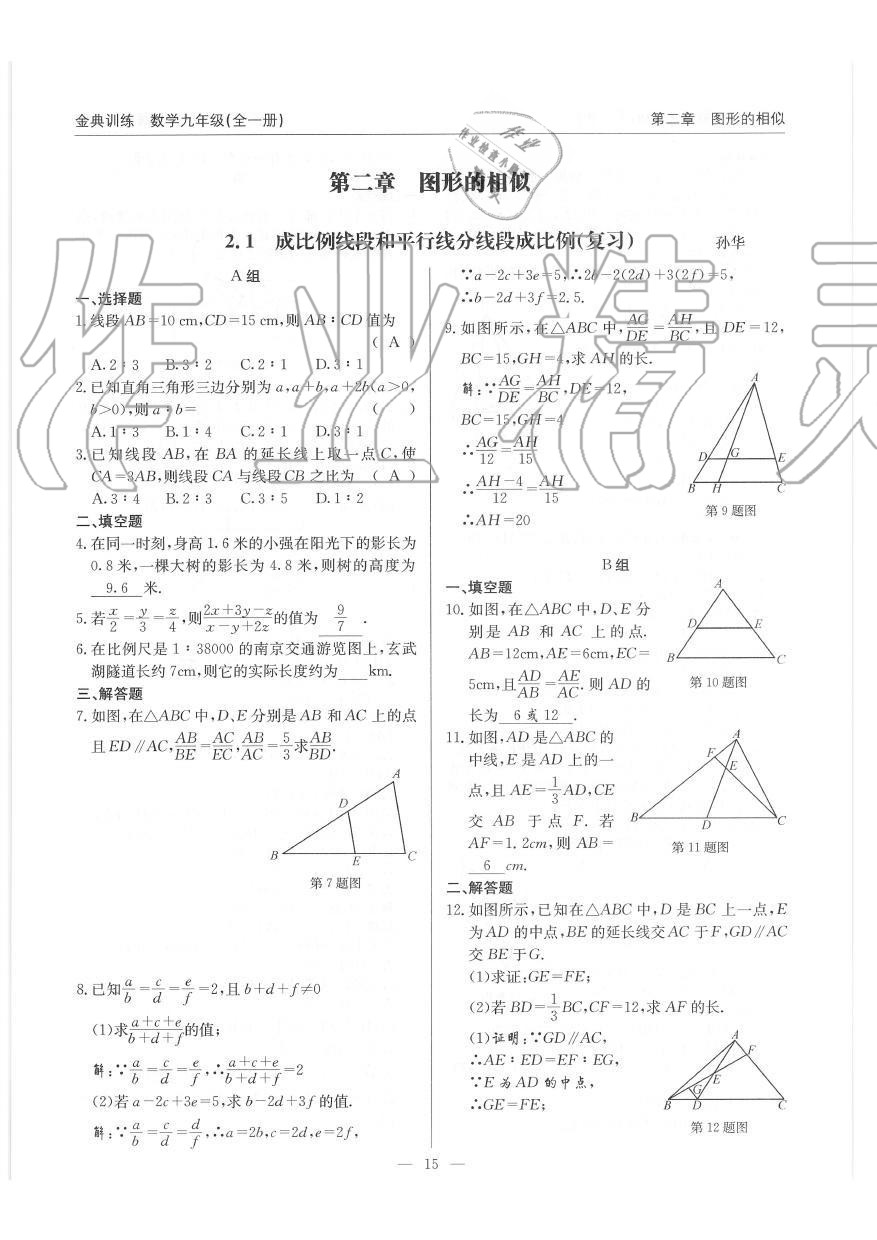 2019年金典訓(xùn)練九年級(jí)數(shù)學(xué)全一冊(cè)北師大版 第15頁(yè)