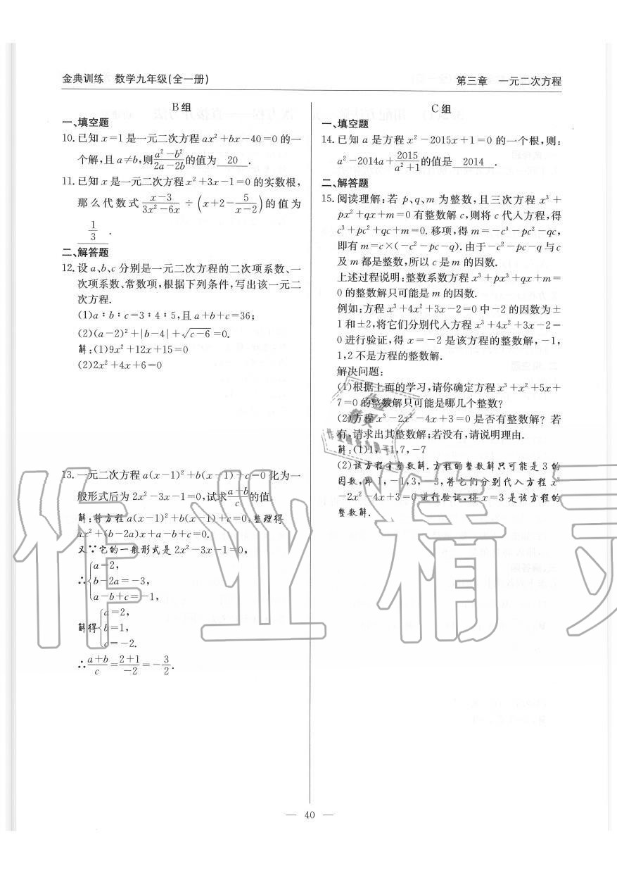 2019年金典訓練九年級數學全一冊北師大版 第40頁