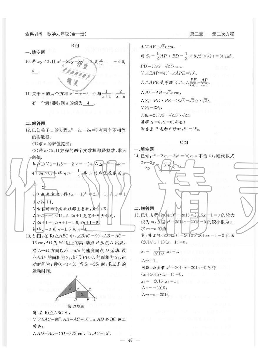 2019年金典訓(xùn)練九年級(jí)數(shù)學(xué)全一冊北師大版 第48頁