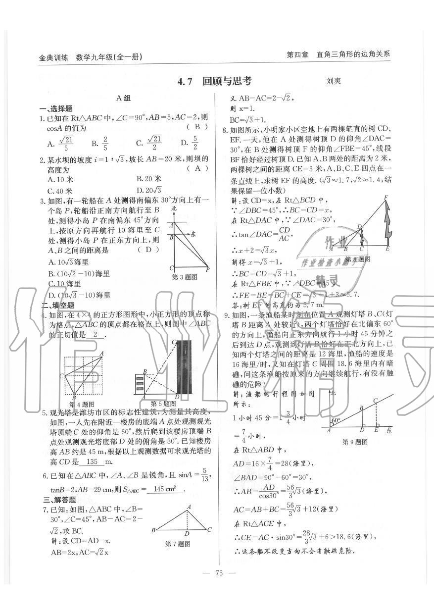 2019年金典訓(xùn)練九年級數(shù)學(xué)全一冊北師大版 第75頁