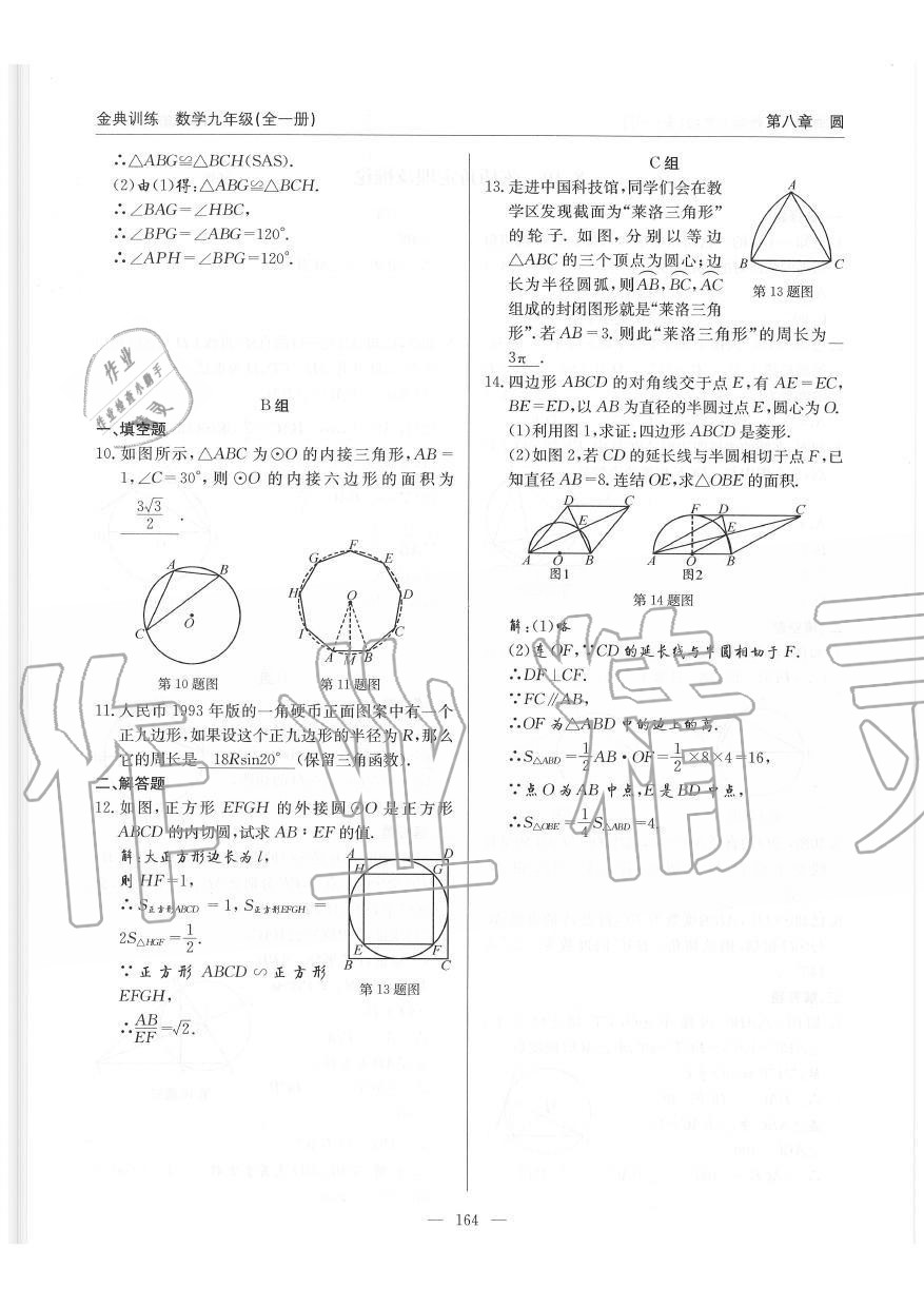 2019年金典訓(xùn)練九年級數(shù)學(xué)全一冊北師大版 第164頁