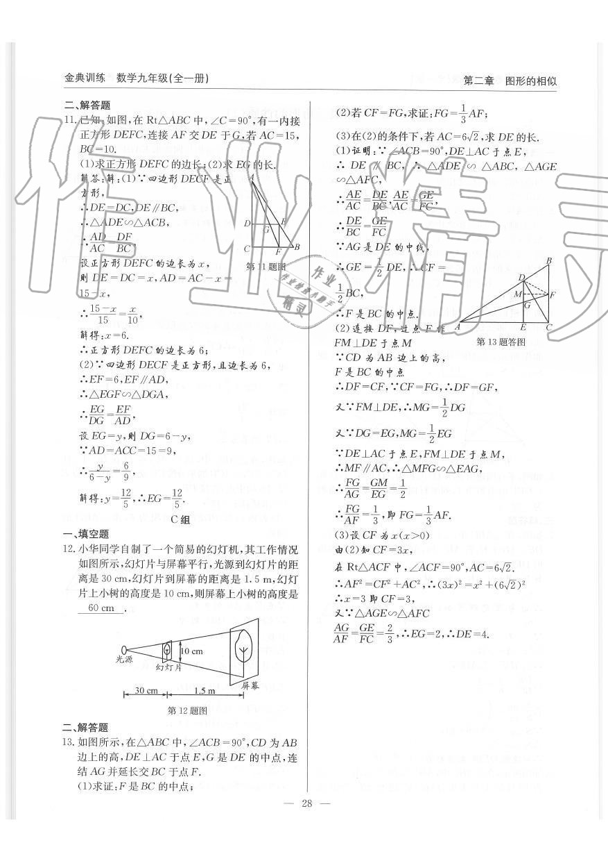 2019年金典訓(xùn)練九年級數(shù)學(xué)全一冊北師大版 第28頁