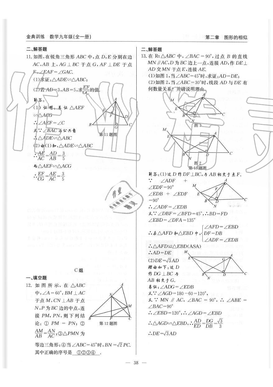 2019年金典訓(xùn)練九年級數(shù)學(xué)全一冊北師大版 第38頁