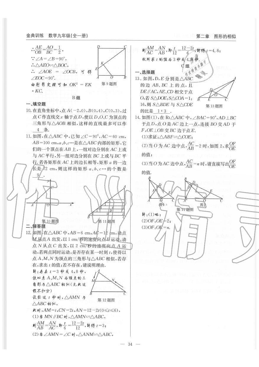 2019年金典訓(xùn)練九年級數(shù)學(xué)全一冊北師大版 第34頁