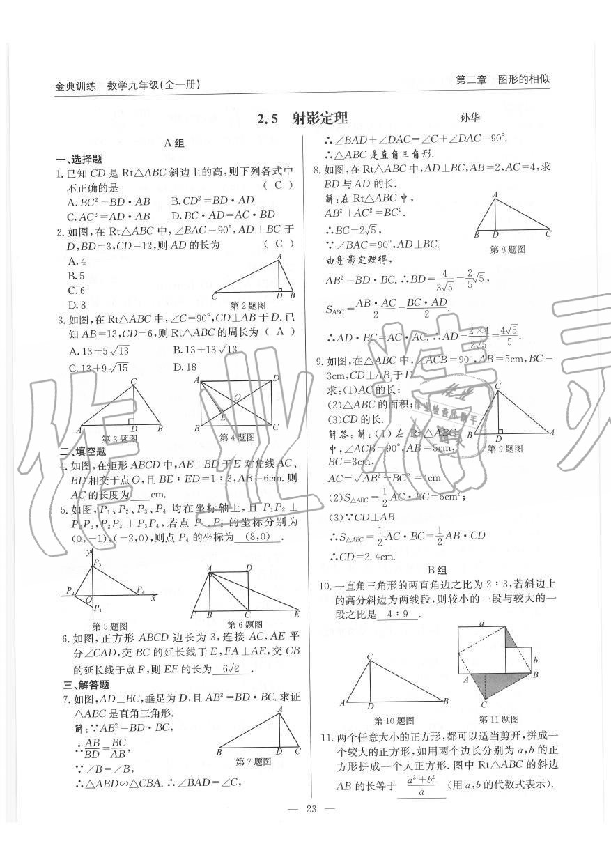 2019年金典訓(xùn)練九年級(jí)數(shù)學(xué)全一冊(cè)北師大版 第23頁(yè)