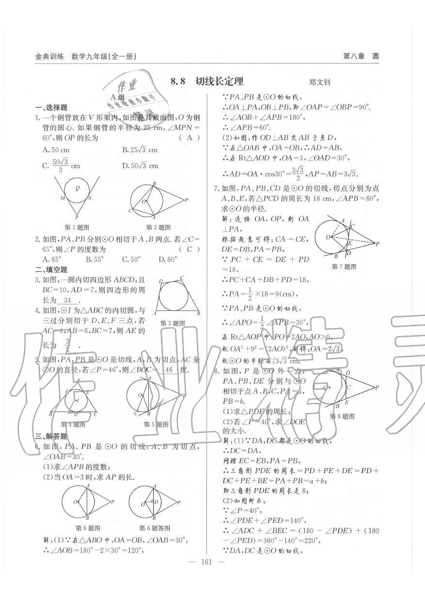 2019年金典訓(xùn)練九年級(jí)數(shù)學(xué)全一冊(cè)北師大版 第161頁