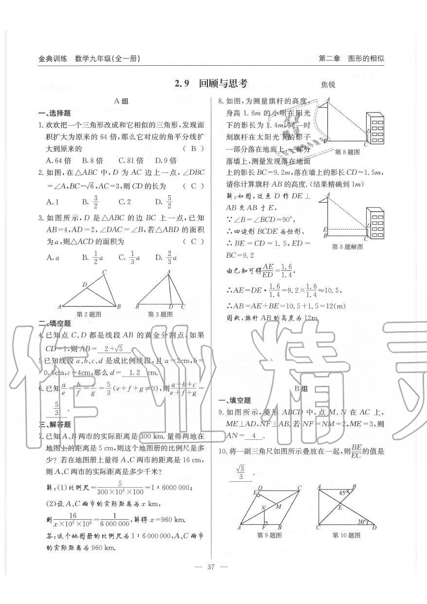 2019年金典訓(xùn)練九年級(jí)數(shù)學(xué)全一冊(cè)北師大版 第37頁(yè)