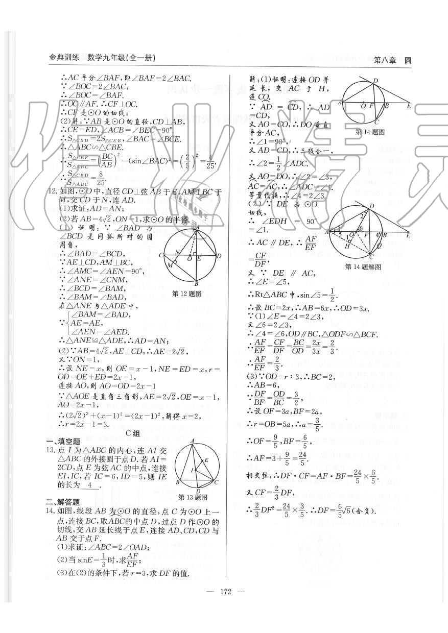 2019年金典訓(xùn)練九年級(jí)數(shù)學(xué)全一冊(cè)北師大版 第172頁(yè)