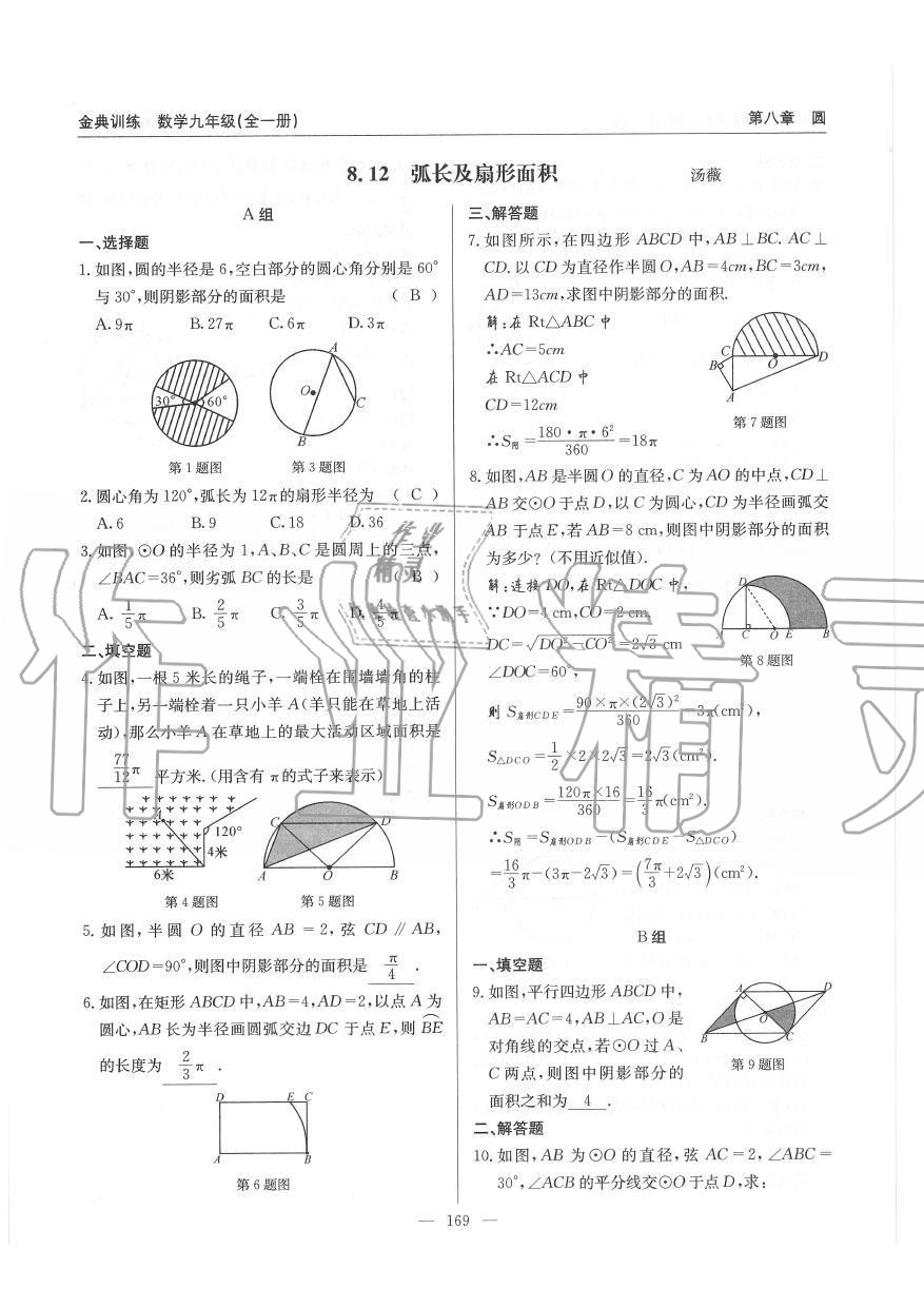 2019年金典訓(xùn)練九年級數(shù)學(xué)全一冊北師大版 第169頁