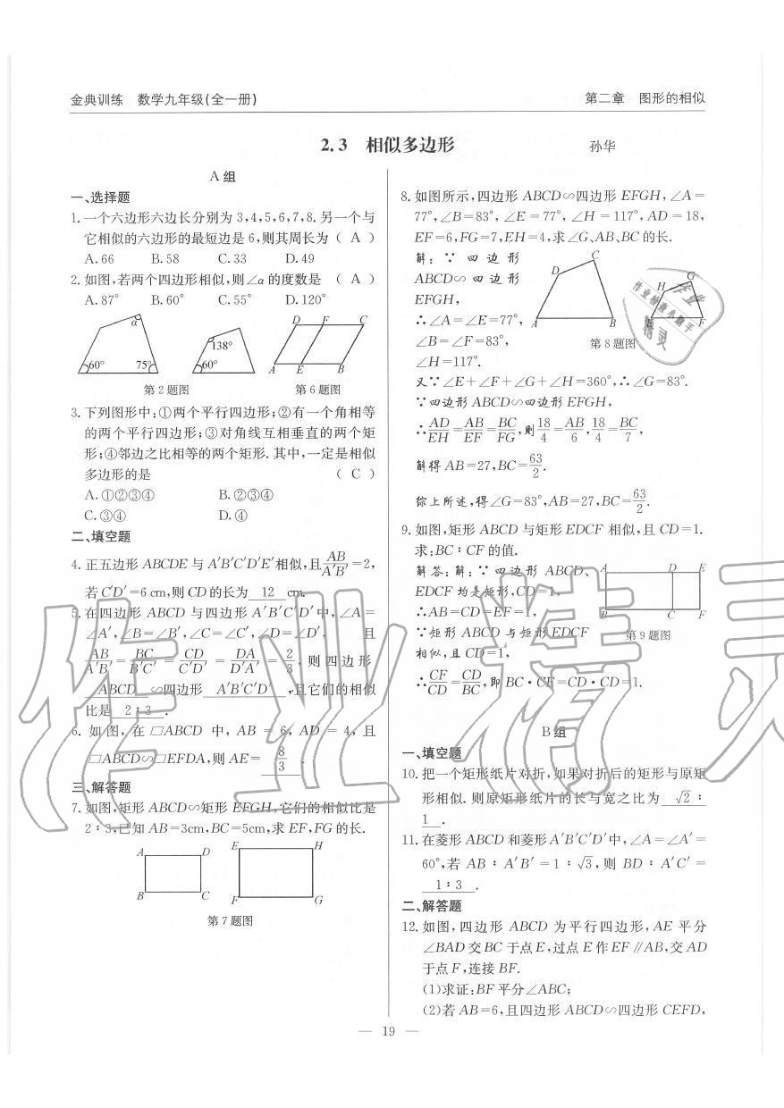 2019年金典訓(xùn)練九年級數(shù)學(xué)全一冊北師大版 第19頁