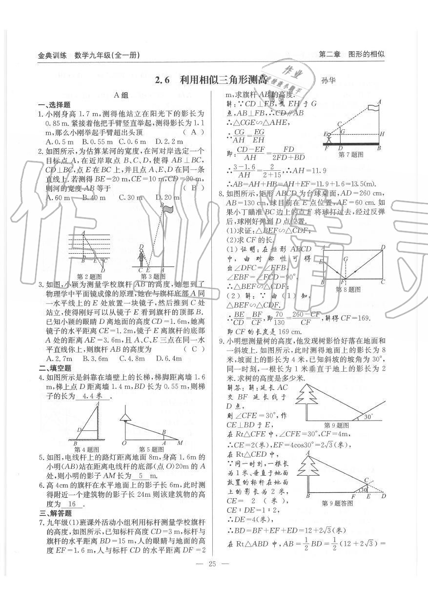 2019年金典訓(xùn)練九年級數(shù)學(xué)全一冊北師大版 第25頁