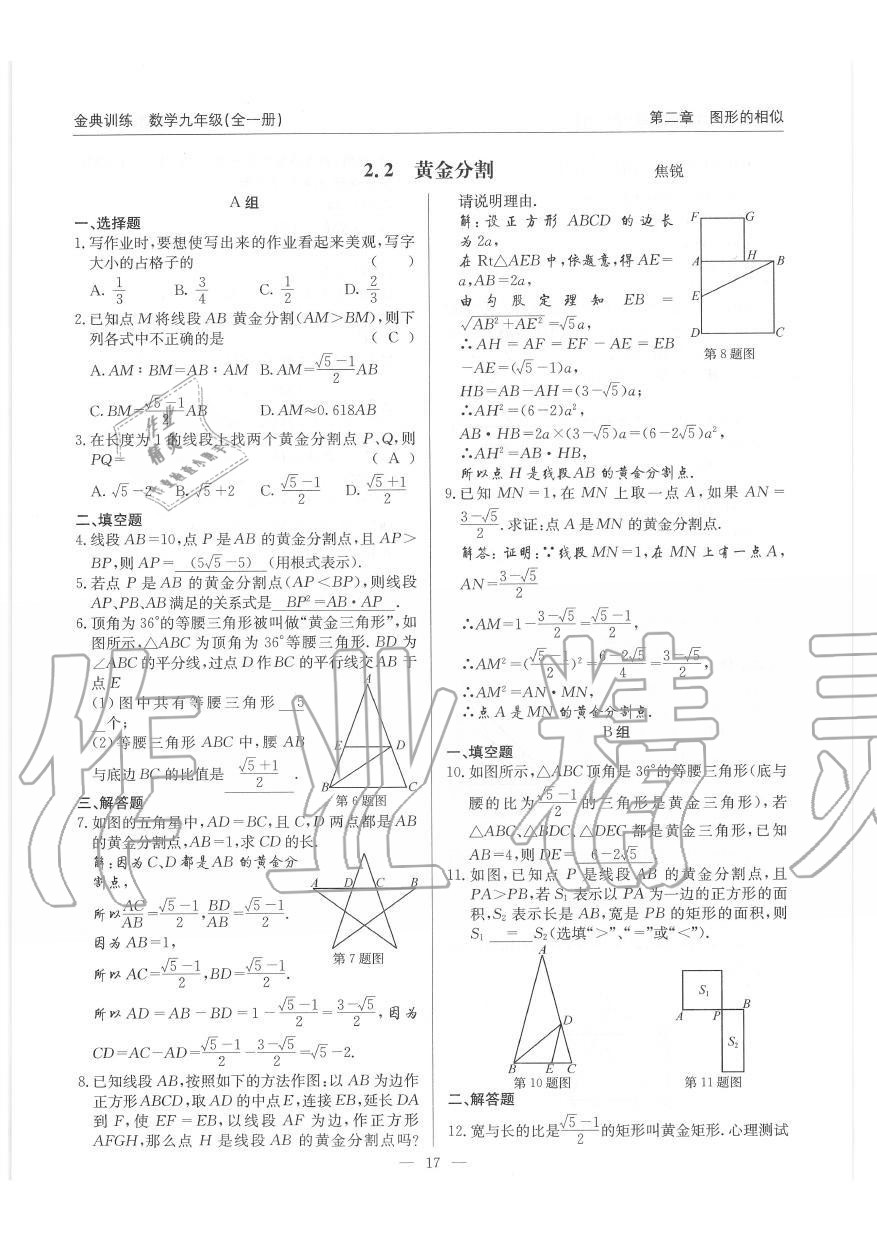 2019年金典訓(xùn)練九年級(jí)數(shù)學(xué)全一冊(cè)北師大版 第17頁(yè)