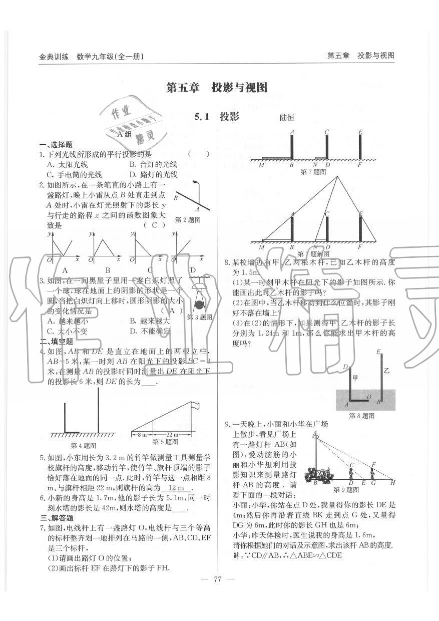 2019年金典訓(xùn)練九年級(jí)數(shù)學(xué)全一冊北師大版 第77頁