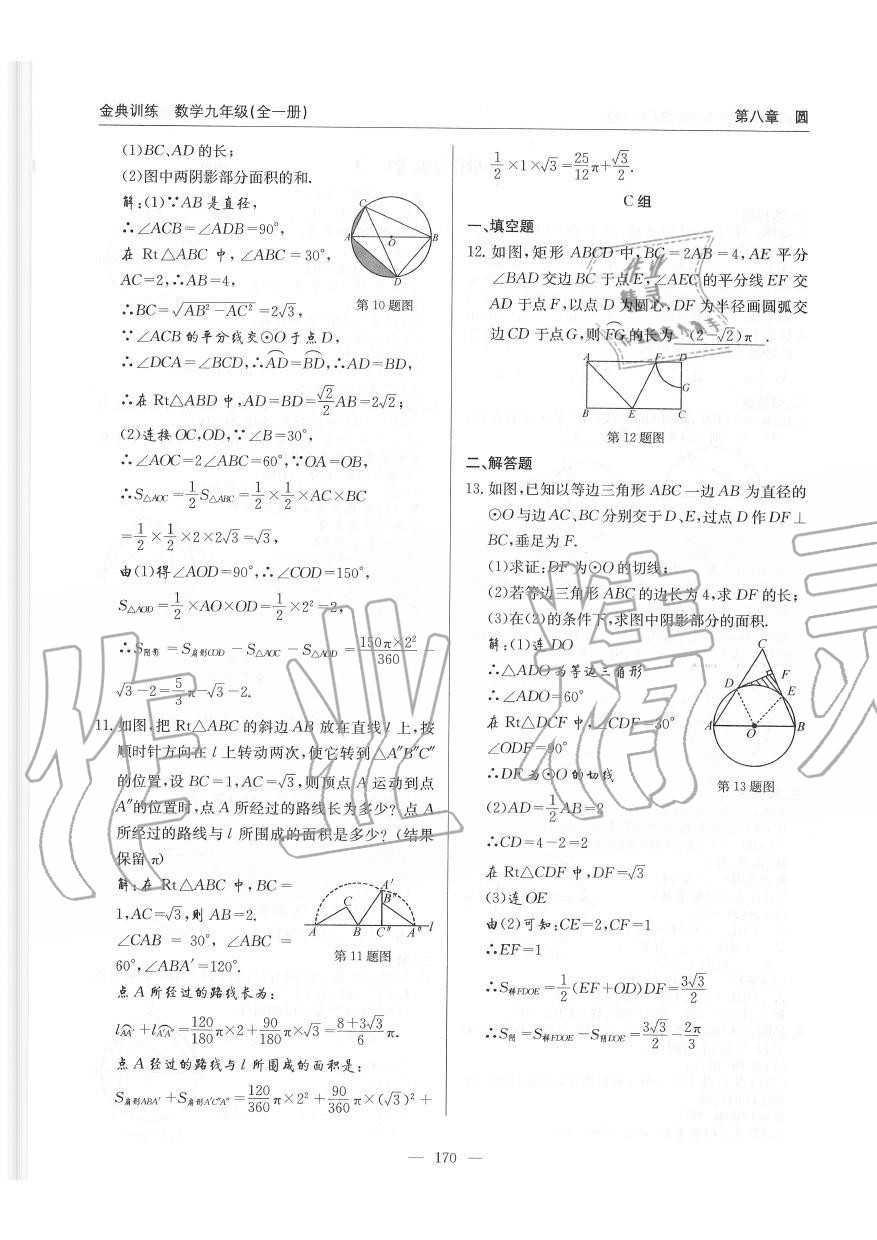 2019年金典訓(xùn)練九年級(jí)數(shù)學(xué)全一冊(cè)北師大版 第170頁(yè)