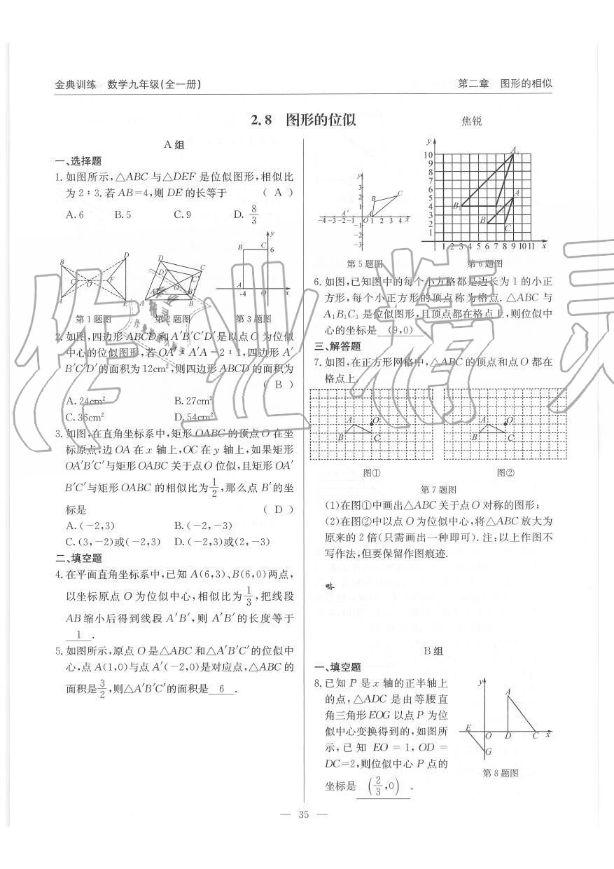 2019年金典訓(xùn)練九年級(jí)數(shù)學(xué)全一冊(cè)北師大版 第35頁(yè)