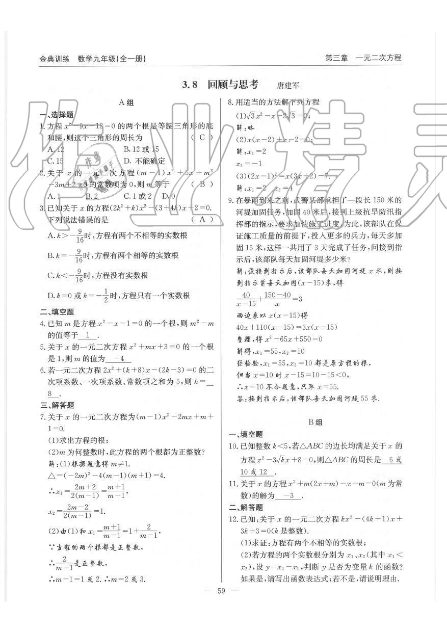 2019年金典訓(xùn)練九年級(jí)數(shù)學(xué)全一冊(cè)北師大版 第59頁(yè)