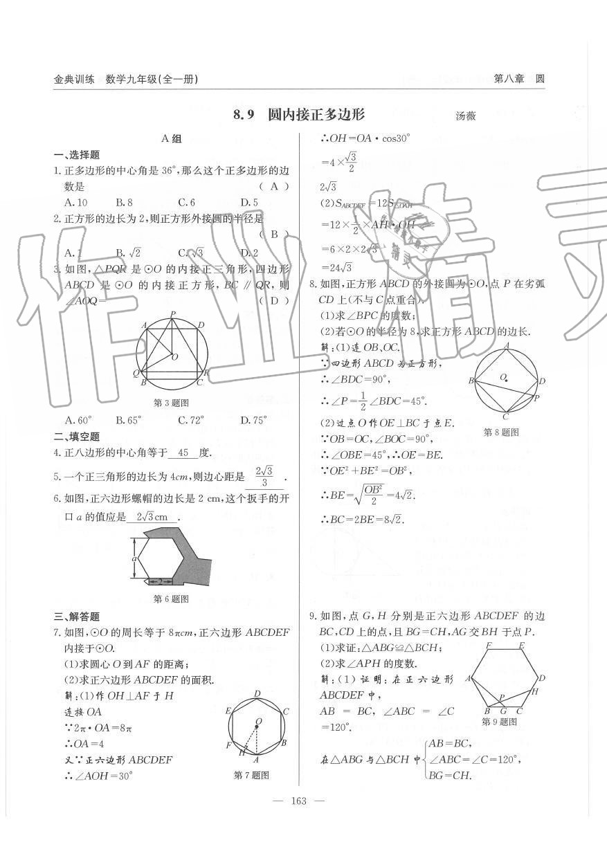 2019年金典訓(xùn)練九年級數(shù)學(xué)全一冊北師大版 第163頁