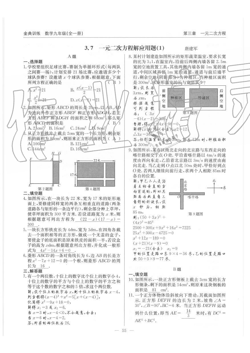 2019年金典訓(xùn)練九年級數(shù)學(xué)全一冊北師大版 第55頁