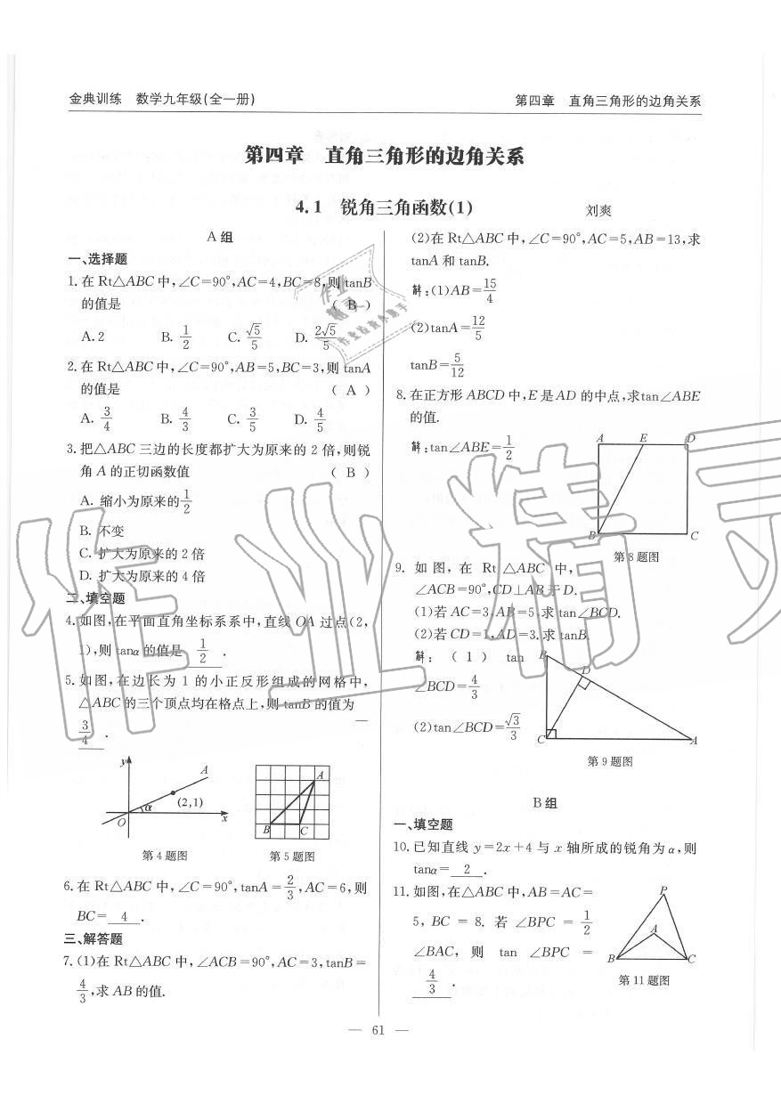 2019年金典訓(xùn)練九年級(jí)數(shù)學(xué)全一冊(cè)北師大版 第61頁(yè)