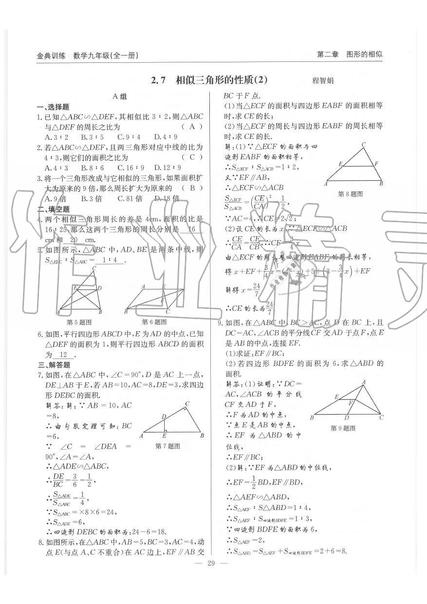 2019年金典訓(xùn)練九年級(jí)數(shù)學(xué)全一冊(cè)北師大版 第29頁