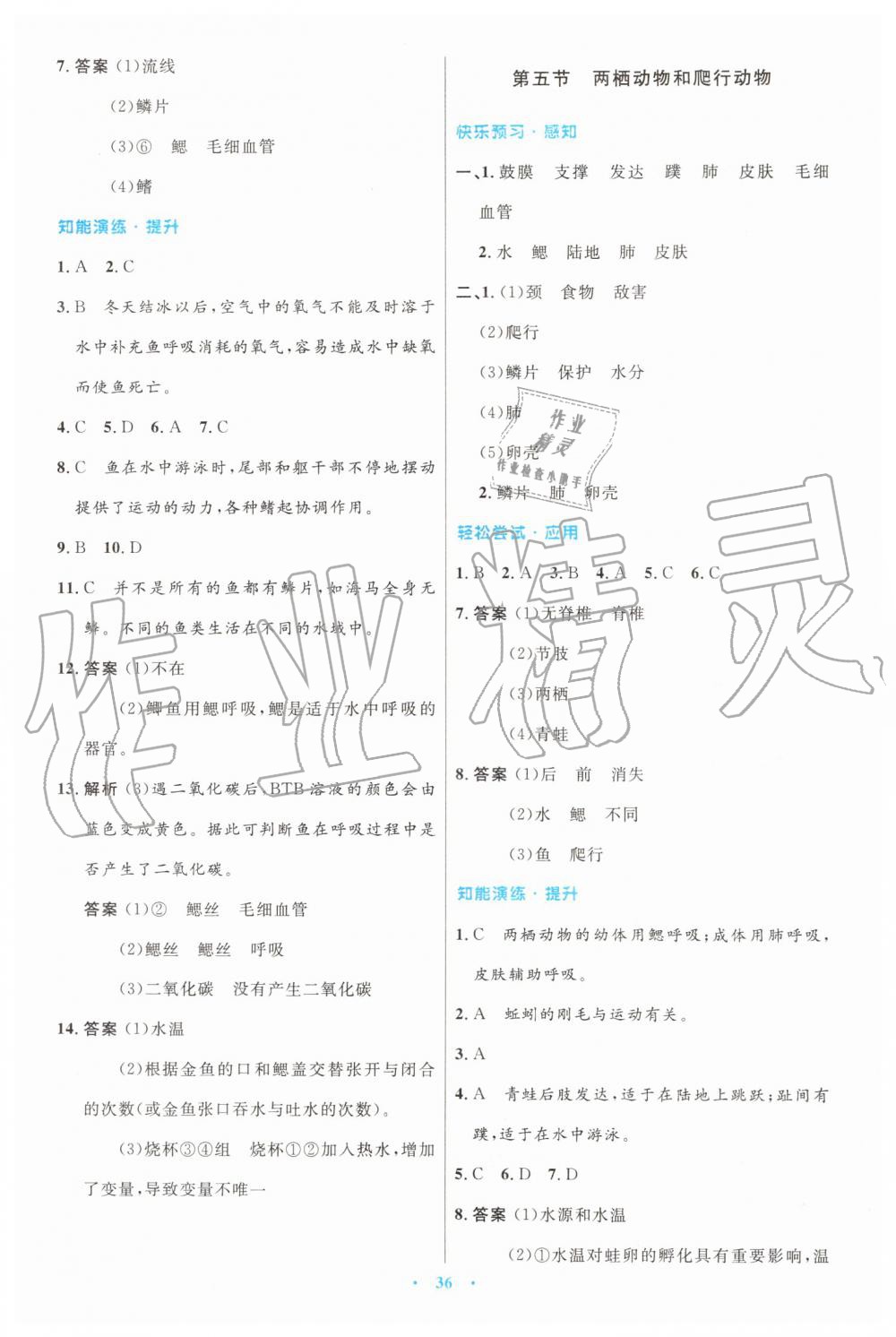 2019年初中同步测控优化设计八年级生物学上册人教版 第4页