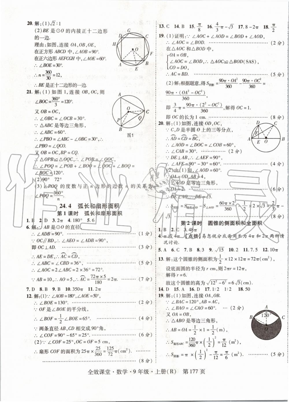 2019年全效課堂九年級數(shù)學(xué)上冊人教版 第29頁