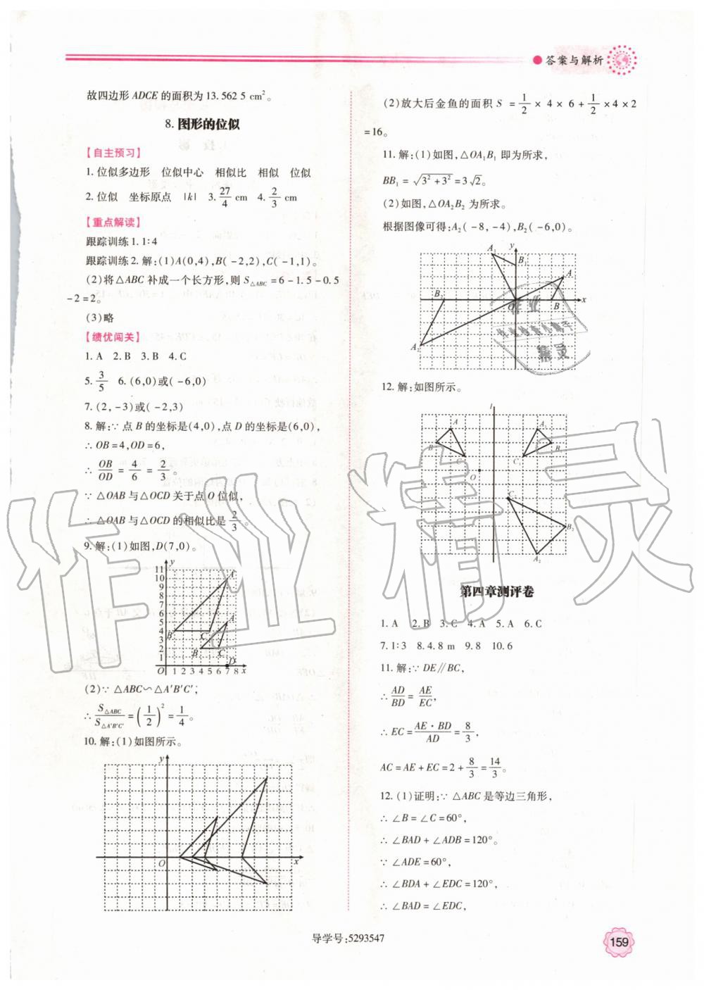 2019年绩优学案九年级数学上册北师大版 第25页