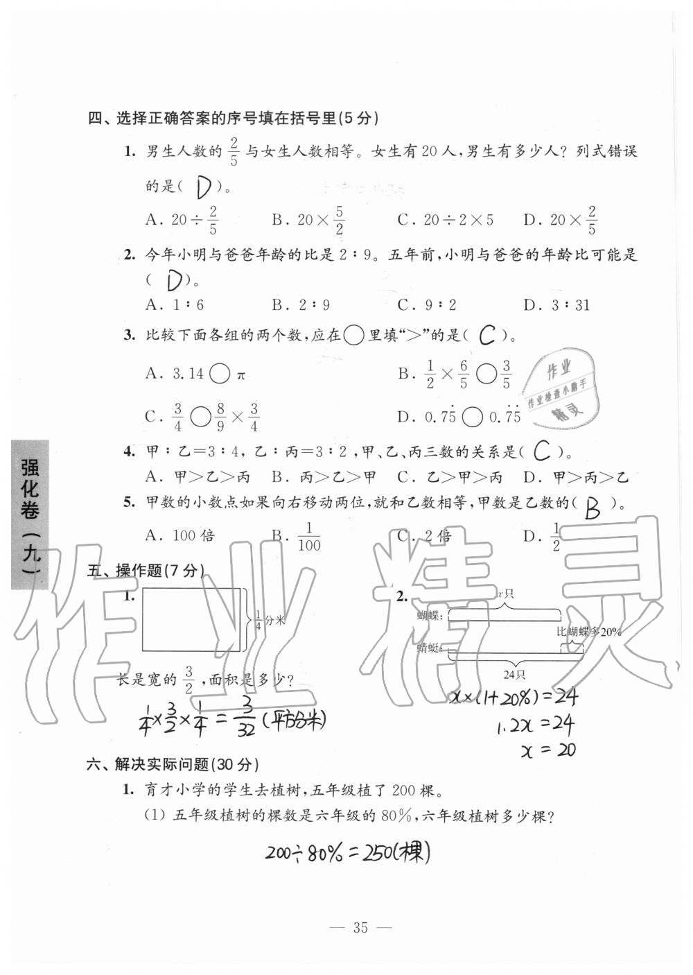 2019年强化拓展卷小学数学六年级上册苏教版提优版 第35页