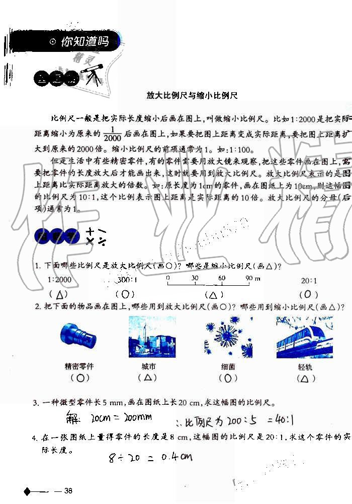 2019年小学数学同步练习六年级上册西师大版西南师范大学出版社重庆专版 第38页