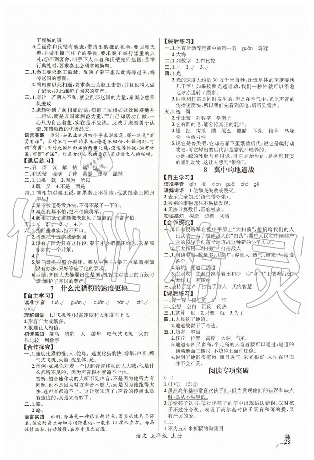 2019年同步導(dǎo)學(xué)案課時練五年級語文上冊人教版河北專版 第3頁