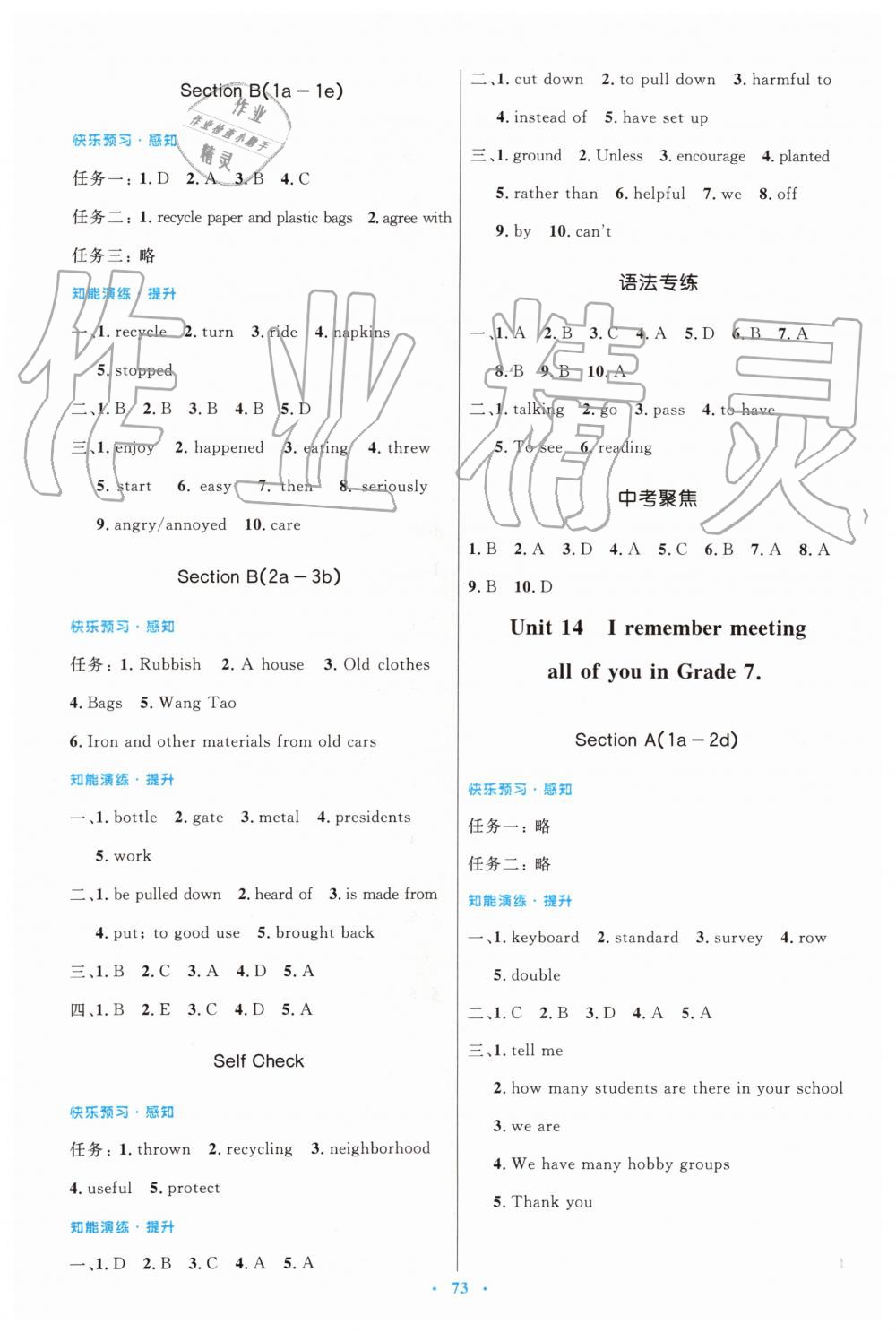 2019年初中同步測(cè)控優(yōu)化設(shè)計(jì)九年級(jí)英語(yǔ)全一冊(cè)人教版 第17頁(yè)