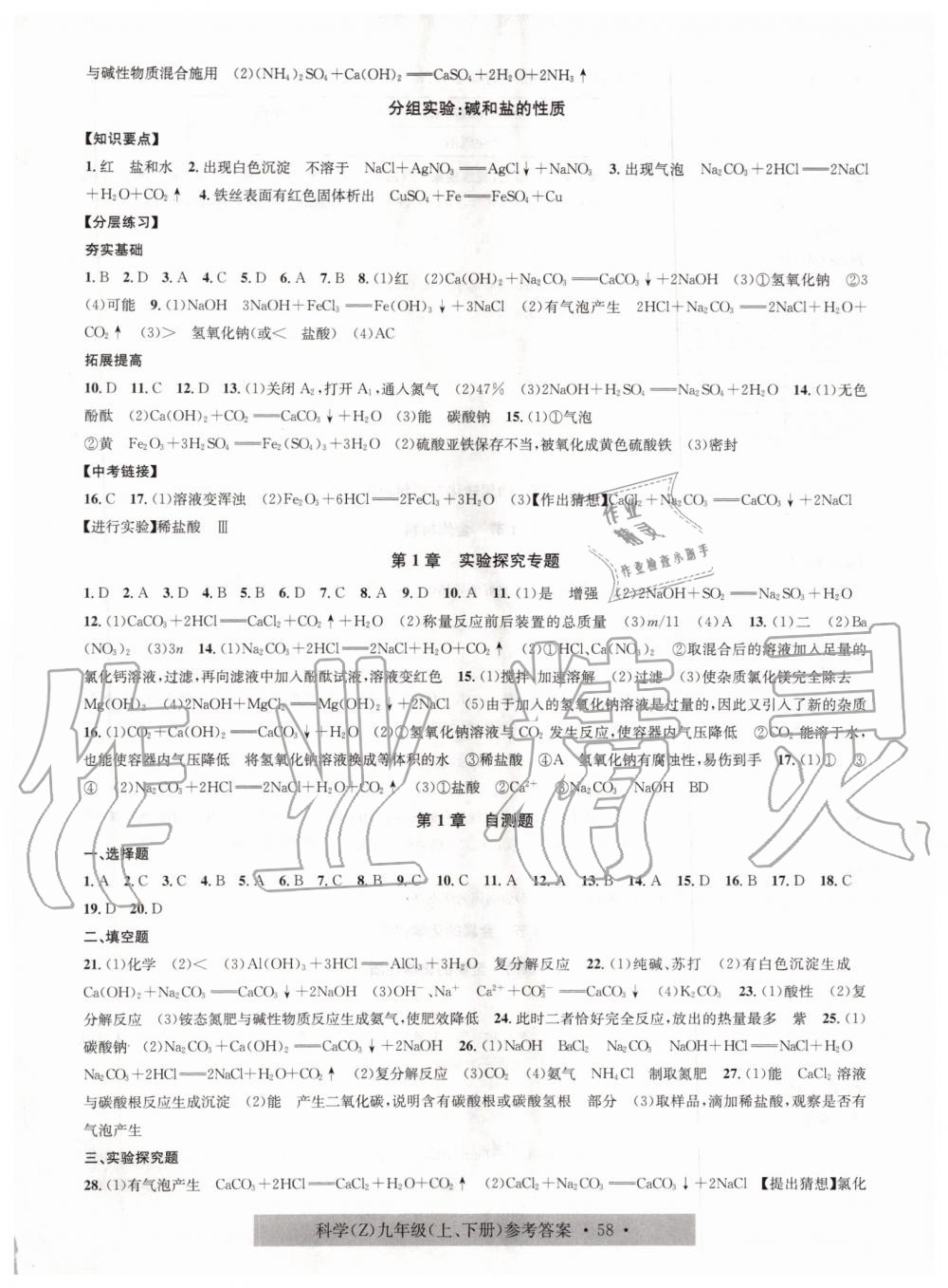 2019年习题e百课时训练九年级科学全一册浙教版 第6页