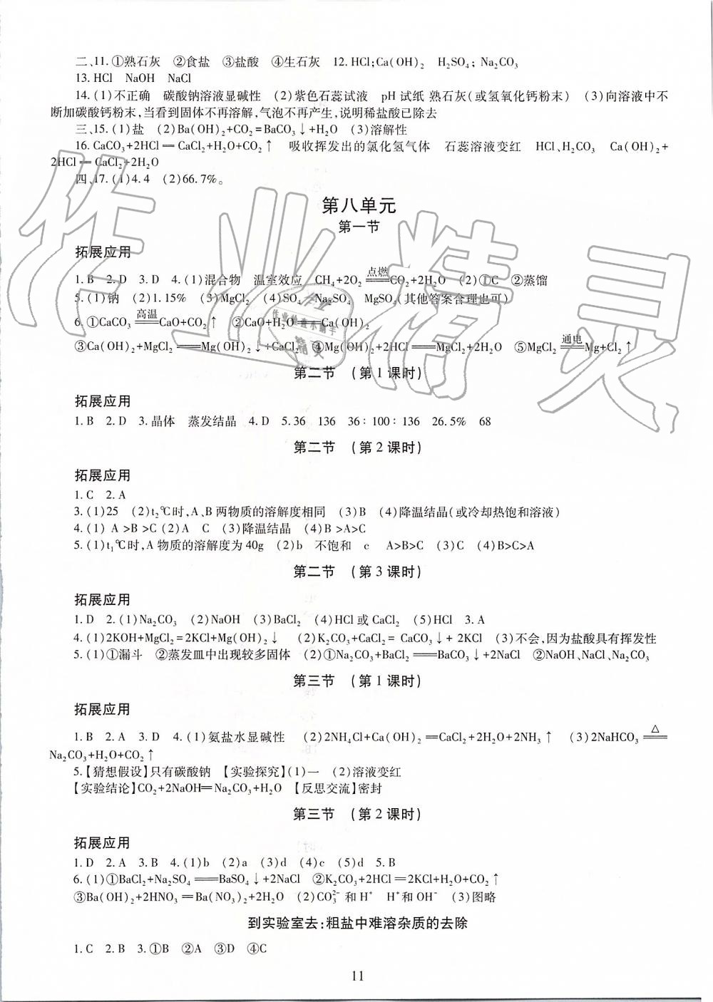 2019年智慧學(xué)習(xí)九年級化學(xué)全一冊人教版 第11頁