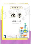 2019年智慧學習九年級化學全一冊人教版