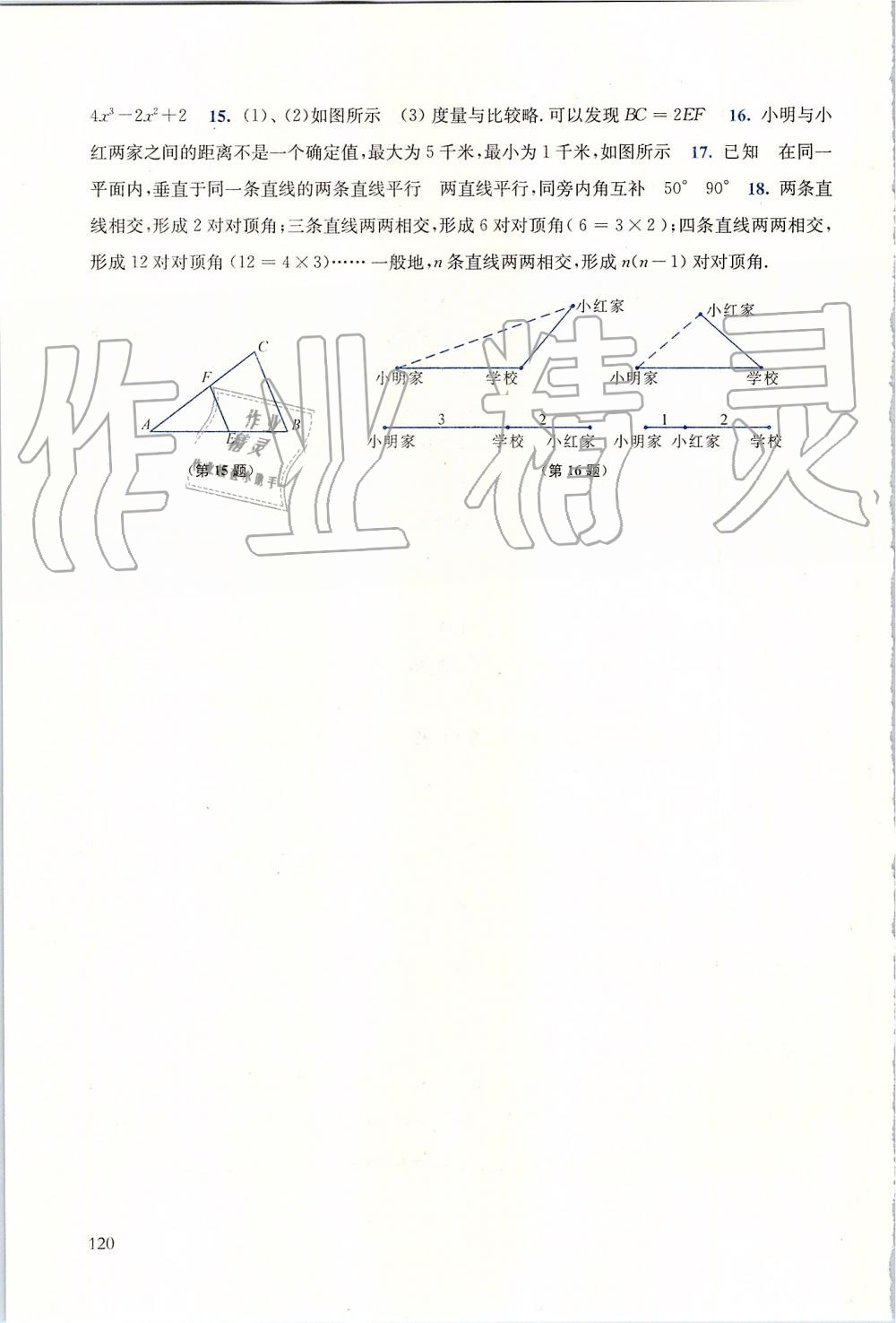 2019年同步练习册七年级数学上册华师大版华东师范大学出版社 第17页