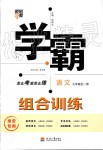 2019年經(jīng)綸學(xué)典學(xué)霸九年級(jí)語文全一冊(cè)組合訓(xùn)練人教版淮安專版