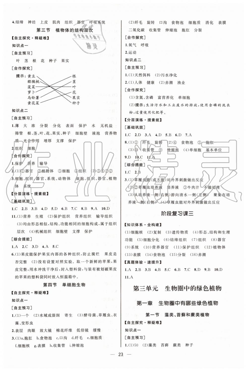 2019年同步学历案课时练七年级生物学上册人教版河北专版 第7页