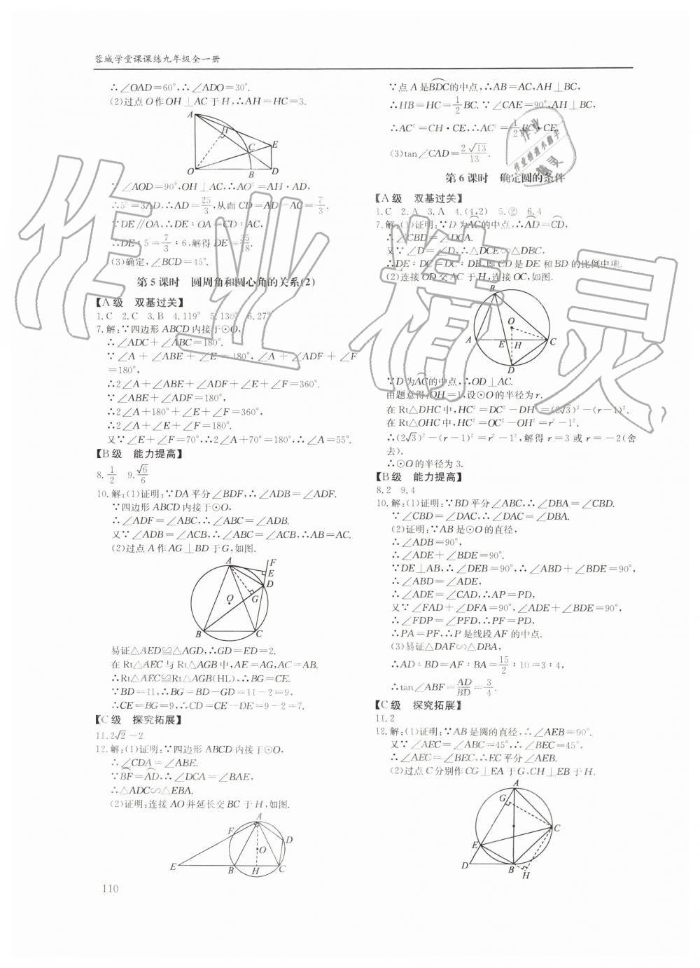 2019年蓉城学堂课课练九年级数学全一册北师大版四川教育出版社 第110页