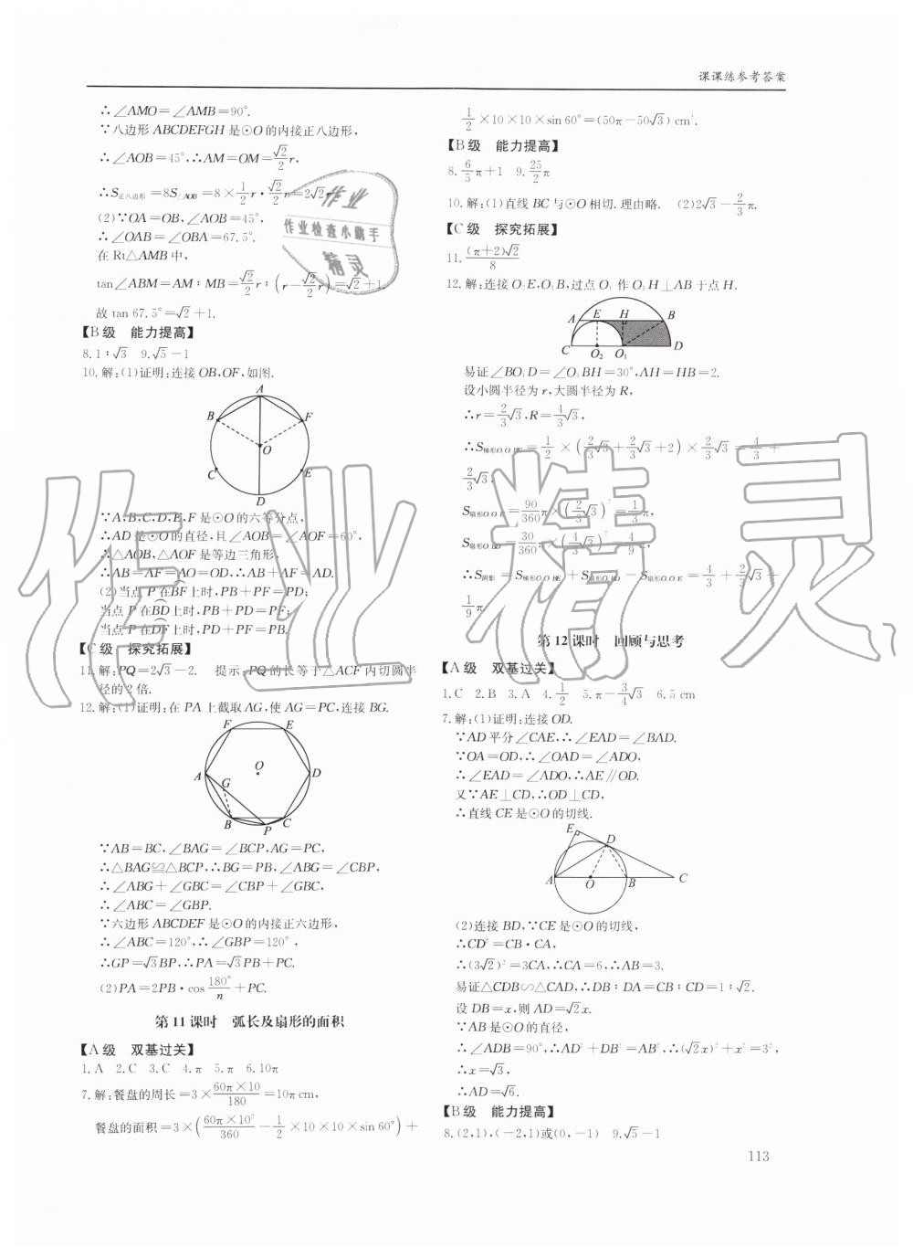 2019年蓉城学堂课课练九年级数学全一册北师大版四川教育出版社 第113页