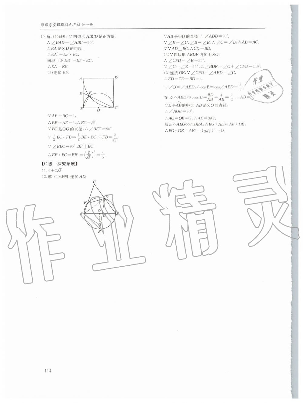 2019年蓉城学堂课课练九年级数学全一册北师大版四川教育出版社 第114页