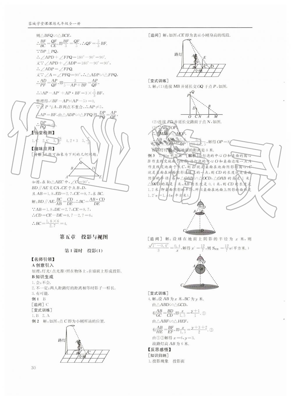 2019年蓉城学堂课课练九年级数学全一册北师大版四川教育出版社 第30页