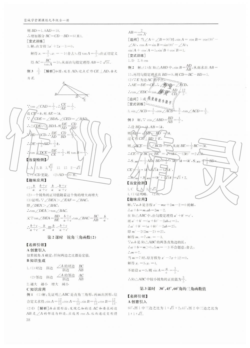 2019年蓉城学堂课课练九年级数学全一册北师大版四川教育出版社 第38页