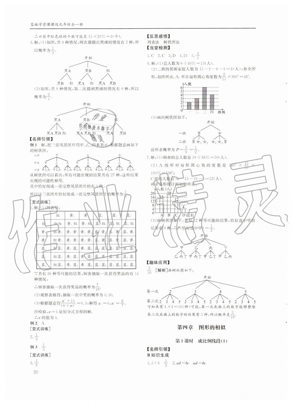 2019年蓉城学堂课课练九年级数学全一册北师大版四川教育出版社 第20页