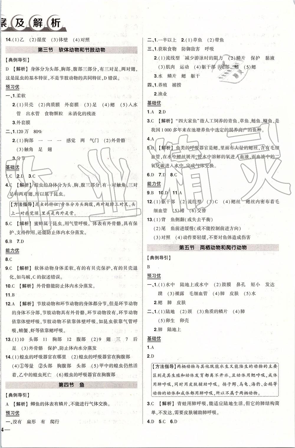 2019年黄冈创优作业八年级生物上册人教版 第2页