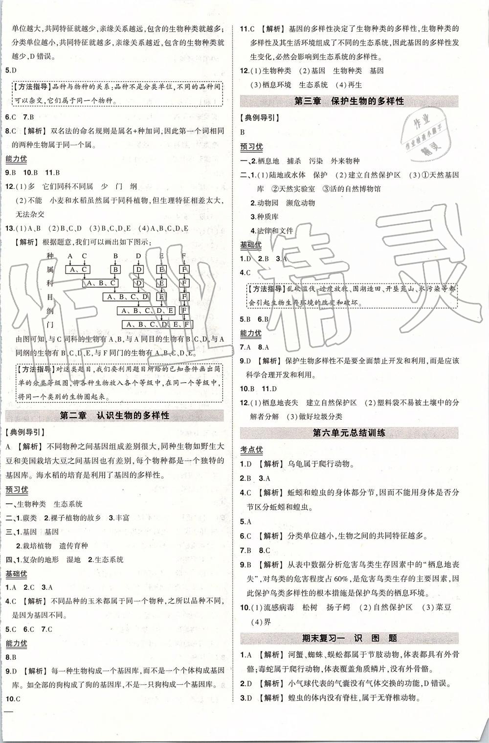 2019年黄冈创优作业八年级生物上册人教版 第10页