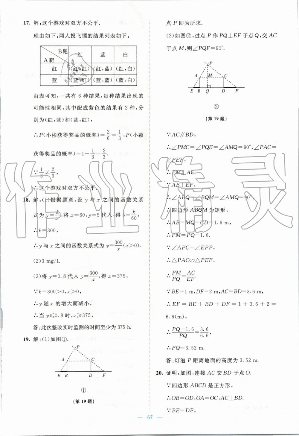 2019年伴你学九年级数学上册北师大版北京师范大学出版社 第41页